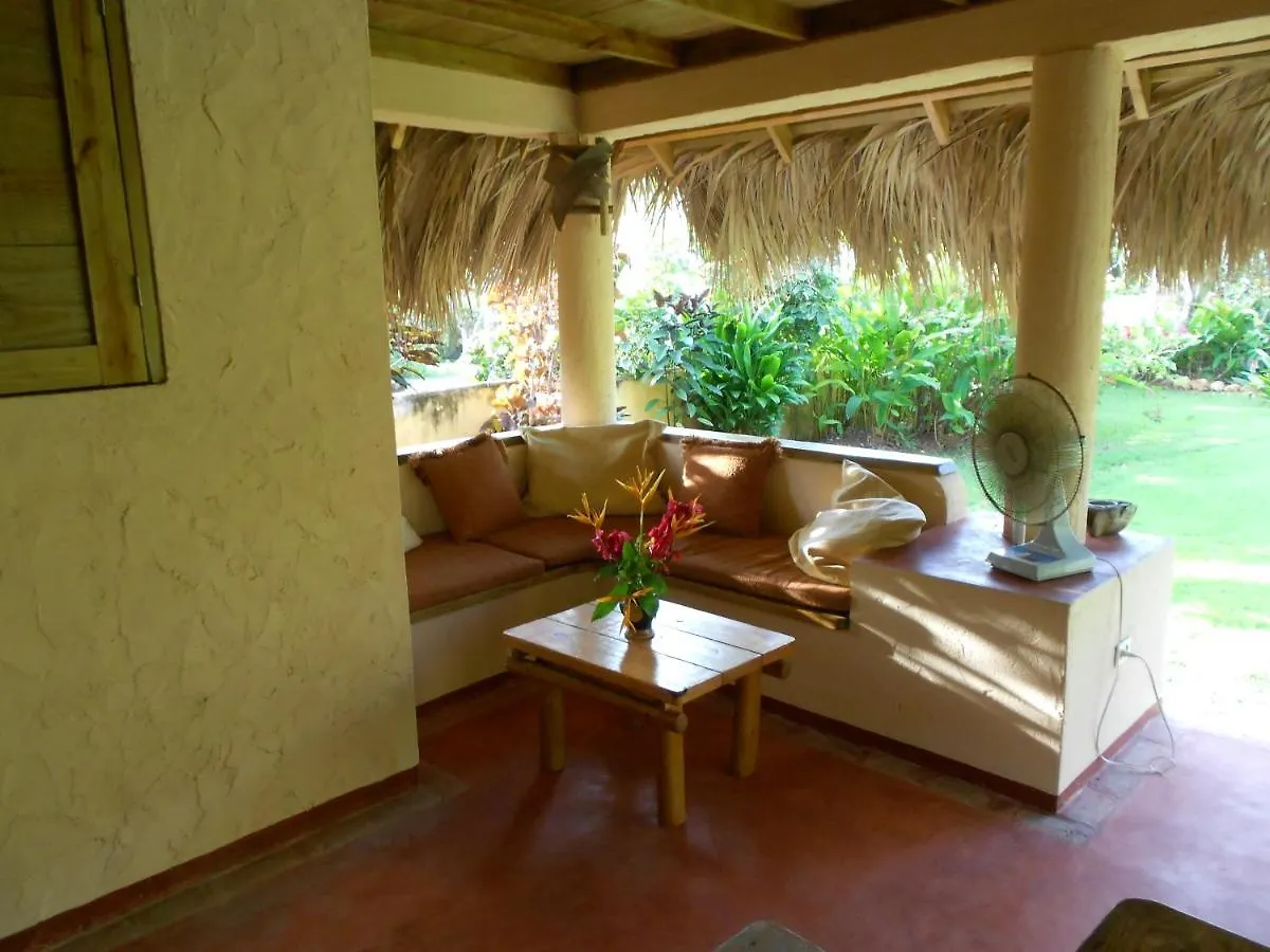 Palm-Covered House In The Tropical -Casa Oli Las Galeras