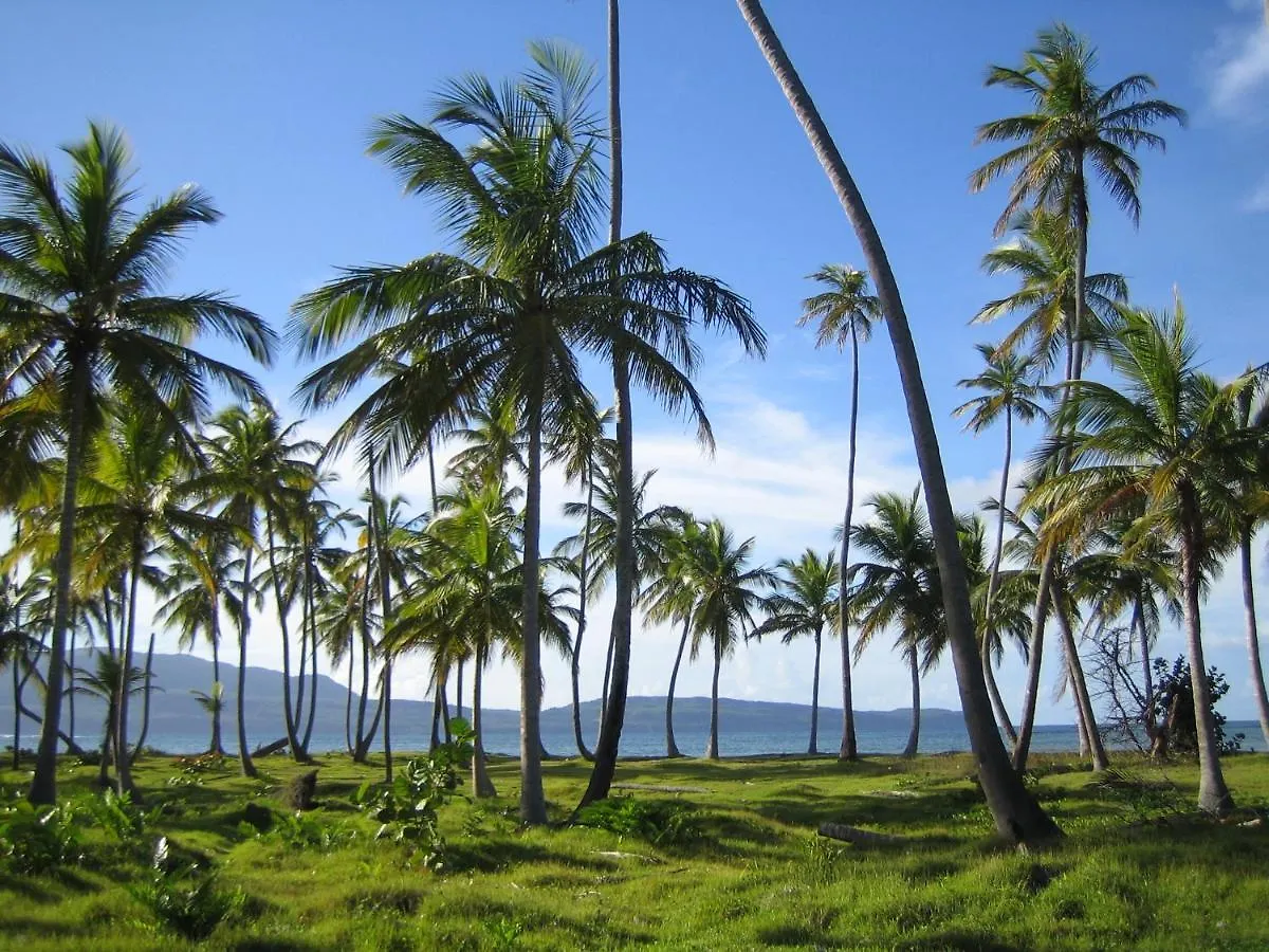 Palm-Covered House In The Tropical -Casa Oli Las Galeras Nyaraló